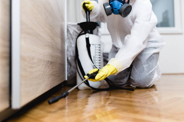 Best Residential Pest Control  in Rainsville, AL