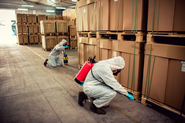 Best Affordable Pest Control Services  in Rainsville, AL