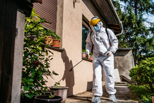 Best Best Pest Control Companies  in Rainsville, AL