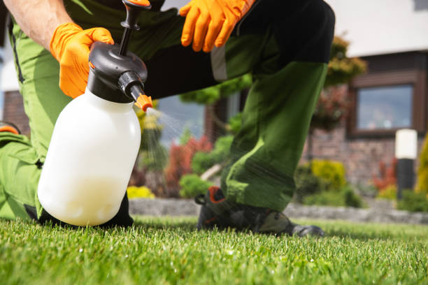 Best Exterminator Services  in Rainsville, AL