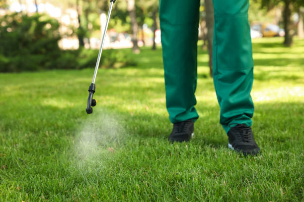 Best Best Pest Control Companies  in Rainsville, AL