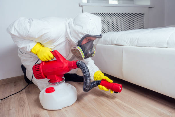 Best Pest Removal Services  in Rainsville, AL