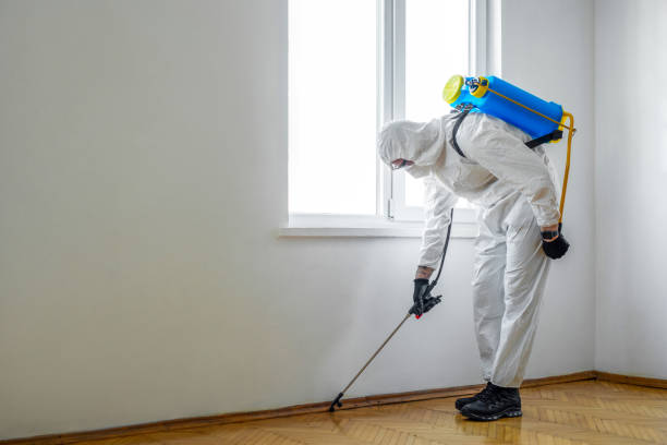 Best Wildlife Control Services  in Rainsville, AL