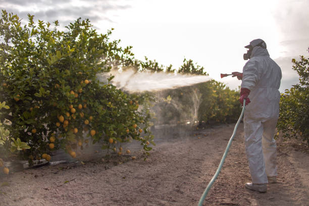 Best Commercial Pest Control Services  in Rainsville, AL
