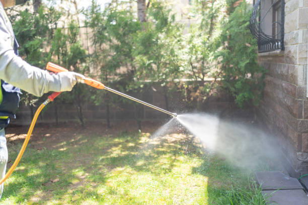 Trusted Rainsville, AL Pest Control Experts